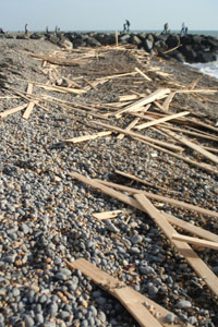 Planks washed up from ship